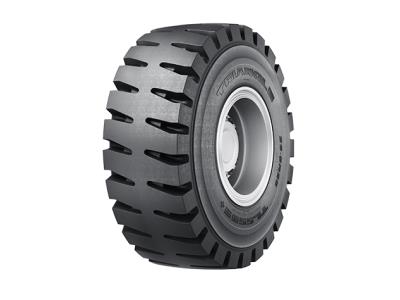 Radial OTR-TL559S+