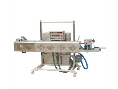 Automatic Heat Sealer For Heavy-Duty Plastic Bags