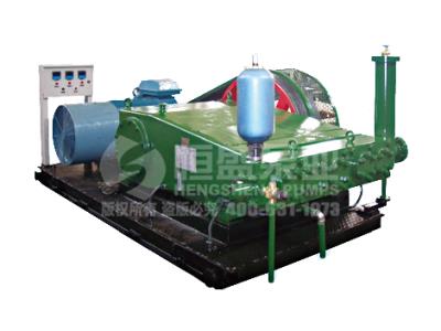Injection polymer pump