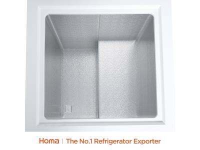 BE1-100 chest freezer