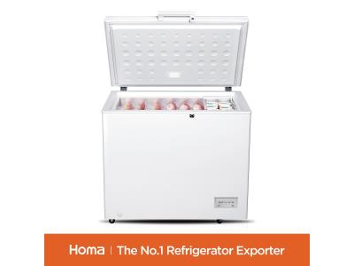BE1-260 chest freezer