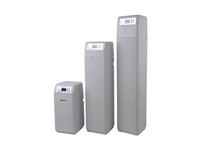 Whole House Backwashing Filter/Carbon