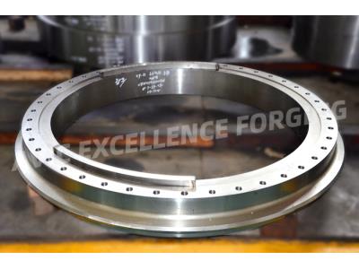 Large diameter forged flange with stainless steel material