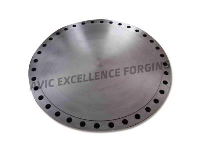 Large diameter forged flange with alloy steel material