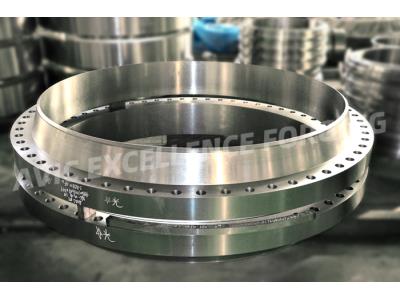 Large diameter forged flange with titanium alloy material
