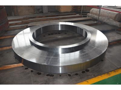 Large diameter hot rolled ring flange