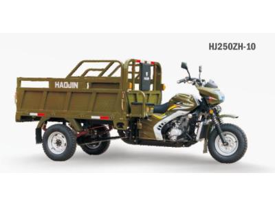 Tricycle HJ250ZH-10