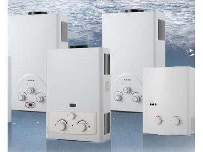 5L zero water pressure flue type gas water heater at good price