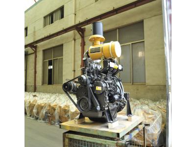 China best Ricardo 80hp diesel engine 