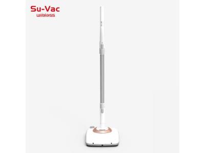 MOPPING CLEANER