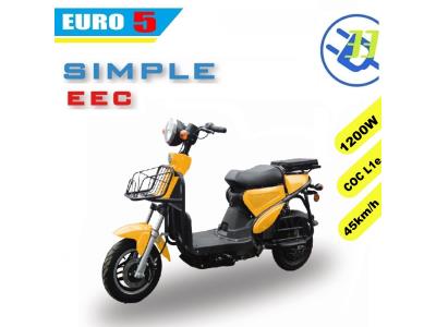 EEC EURO5 electric scooter e motorcycle COC (Joy) EV33