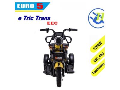 electric tricycle scooter e motorcycle EEC EURO5 COC (T Trans)