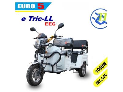 EEC COC EURO5 electric tricycle 3 wheel e motorcycle (T LL) EV 33