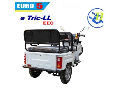 EEC COC EURO5 electric tricycle 3 wheel e motorcycle (T LL) EV 33