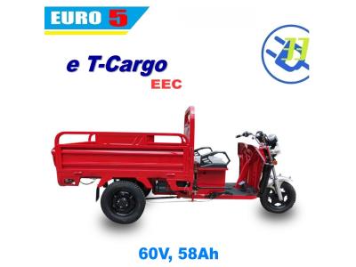 electric cargo trike 3 wheel EV33 motorcycle scooter EEC EURO5 COC (T Cargo)