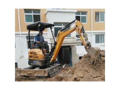 Canmax 2.5 Ton Mini Excavator Ex9025 small digger Price for Sale