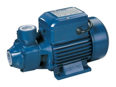 END-SUCTION PERIPHERAL PUMP (MKP60-1)