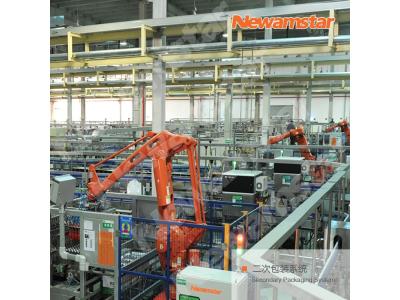 Secondary packaging production line solution