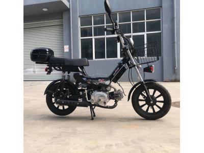 Mini Moto Economic Gasoline Bike