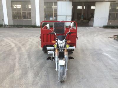 One Ton EEC Heavy Loading Cargo Tricycle with Double Rear Tyres