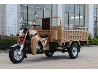150CC Gasoline Cargo Tricycle with EEC