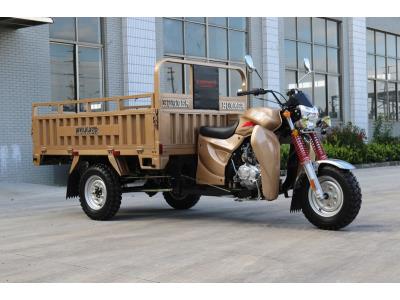 150CC Gasoline Cargo Tricycle with EEC
