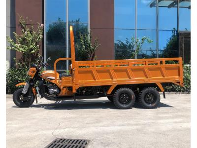300CC Water cooled gasoline cargo tricycle with double rear axle