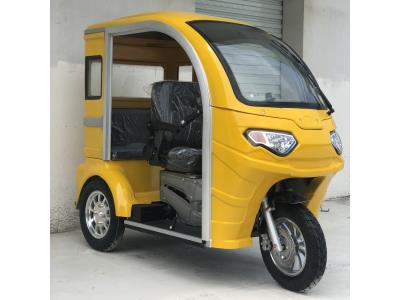 125cc Luxury Passenger Tricycle for Elder and Disabled
