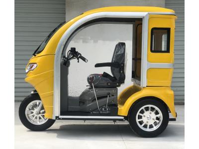 125cc Luxury Passenger Tricycle for Elder and Disabled