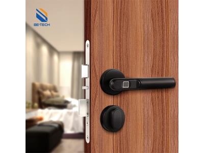 Smart Lock Fingerprint Lock Digital Smart Home Door Lock Matte Black-R665F-00