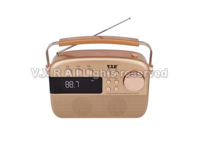 Fashionable radio VX-1902