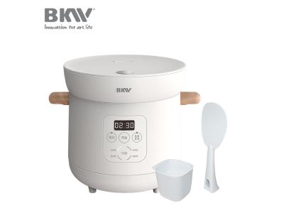  Low Sugar Rice Cooker RC100A12-D02