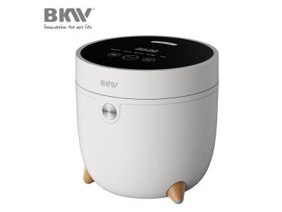 Low Sugar Rice Cooker RC100E16