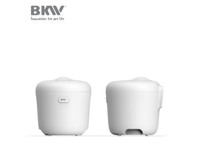 Mini Rice Cooker RC100G12