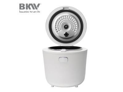 Mini Rice Cooker RC100G12