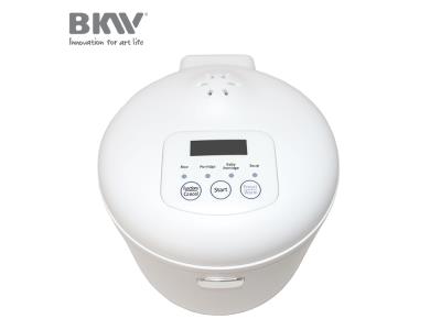 Mini Rice Cooker RC100G12