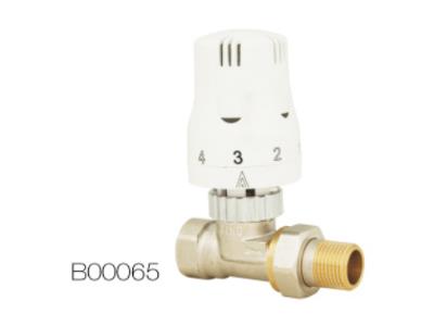 B00069 Thermostatic Radiator Valves