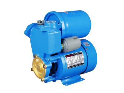 PS130 0.5HP auto electric water pump
