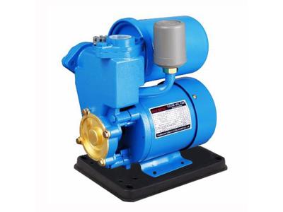 PS130 0.5HP auto electric water pump