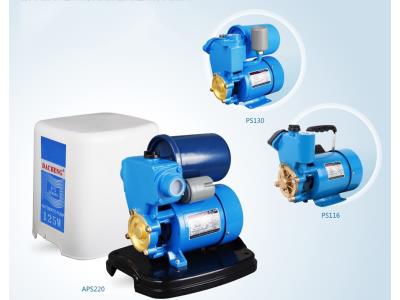 PS130 0.5HP auto electric water pump