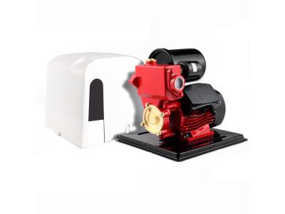 PS138 0.5HP auto electric water pump