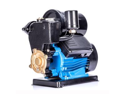 PS150B 0.5HP auto electric water pump