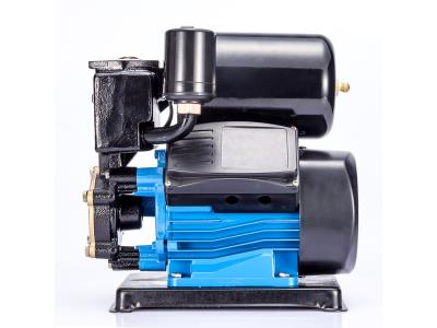 PS150B 0.5HP auto electric water pump