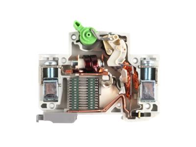 Miniature Circuit Breaker-PTB7