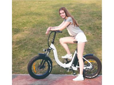 Folding Electric Bike 750W 500W 48V 13AH LCD Display 4.0 3.0 Fat Tire Ebike for Adults 7 S