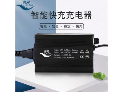 C300 lifepo4 battery charge 58.4V 16S48V 5A