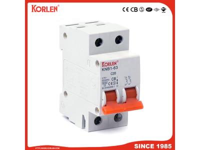 Miniature Circuit Breaker 2p MCB Dz47 Type 6A-63A with Double Wiring