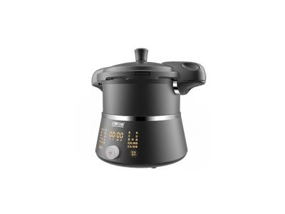 Multi-functional pressure cooker