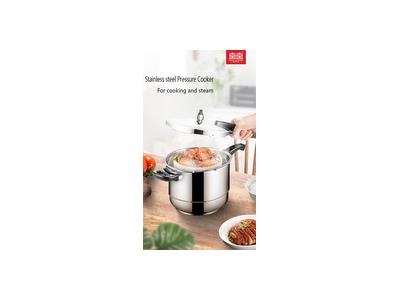 stainless steel pressure cooker