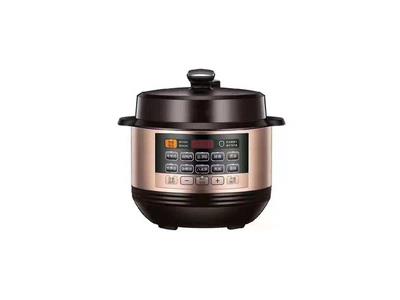 Electric pressure cooker